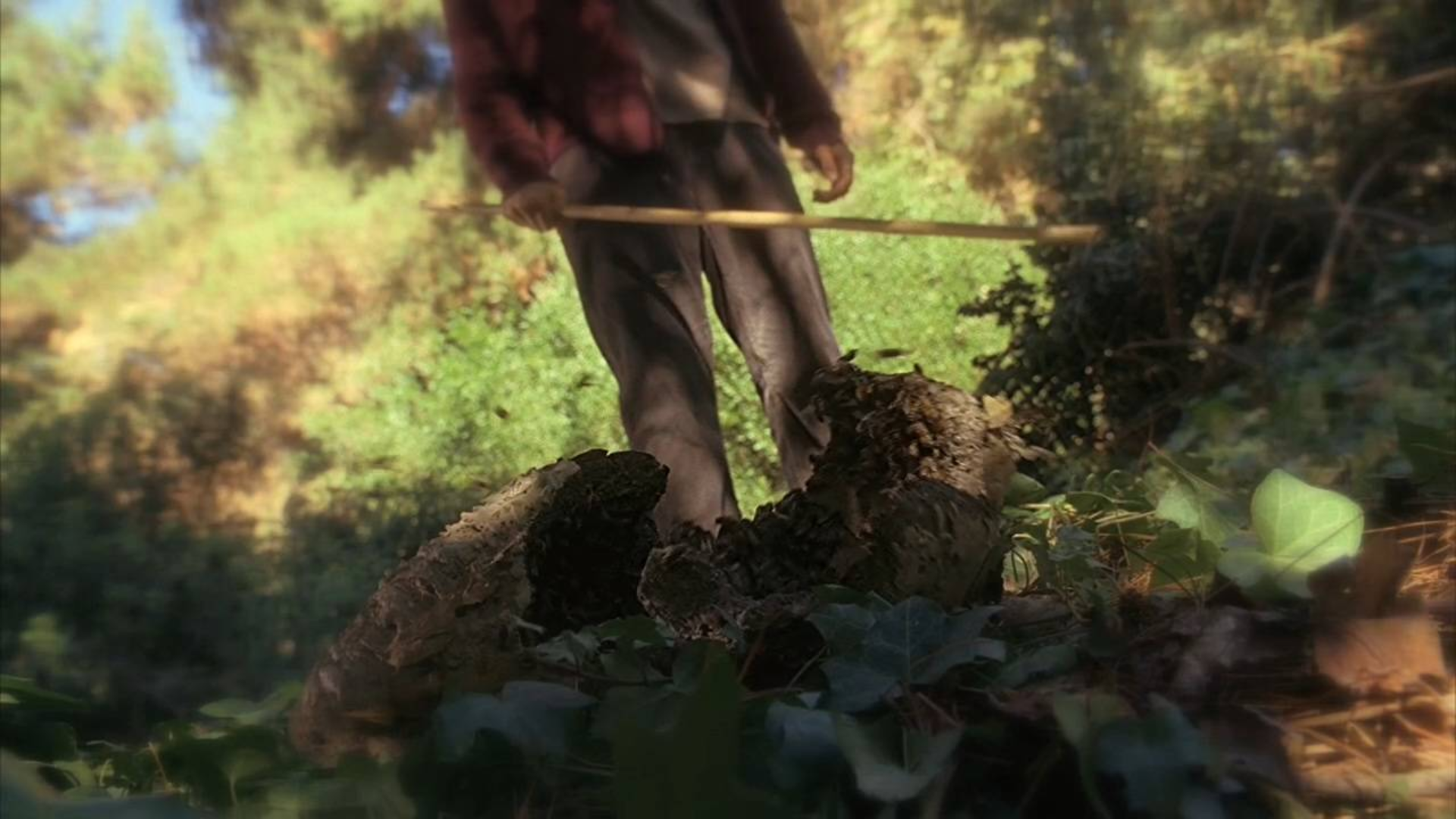 狠心妈妈扔掉刚出生婴儿,儿子死后变鬼找她“算账”《鬼语者06》